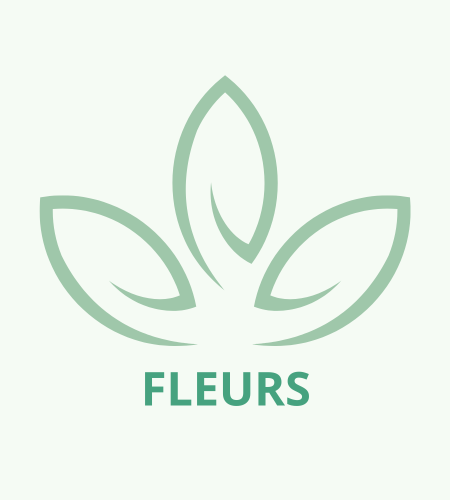 fleurs fleurs