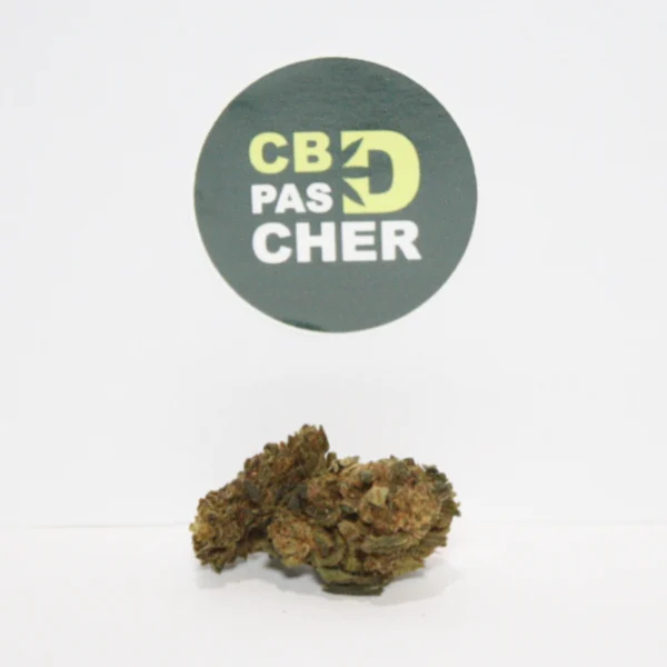 G13 40% CBN